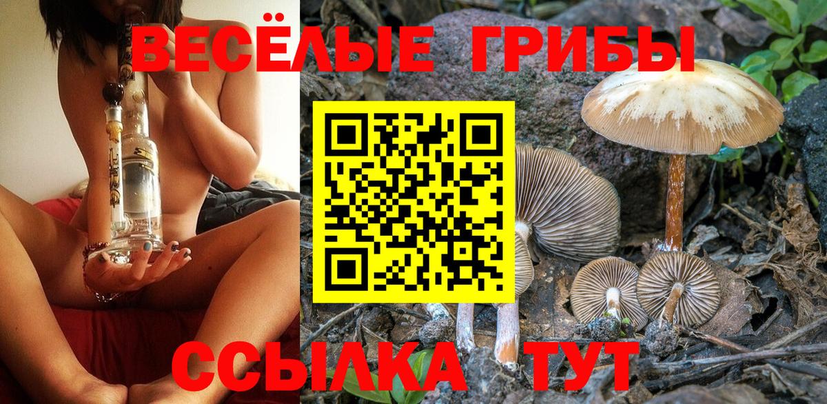 Галлюциногенные грибы прущие грибы  Вход с VPN  Валуйки 